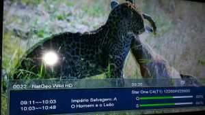 15940357_1748234198535482_7092224556259858139_n-300x169  