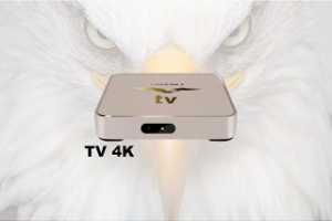 tv4k-1920x1280-300x200  